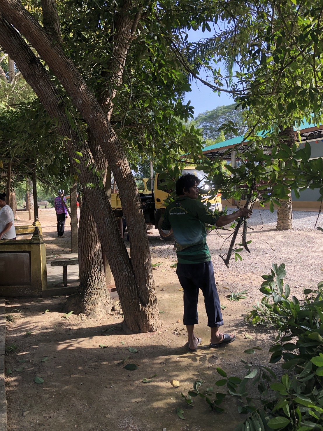 วันอังคารที่ 24 ธันวาคม 2567 เวลา 09.00 น. นายอภิชาติ สวัสดี นายกเทศมนตรีตำบลเคียนซา พร้อมด้วย คณะผู้บริหาร หัวหน้าสำนักปลัดเทศบาล และเจ้าหน้าที่ที่เกี่ยวข้อง ลงพื้นที่พัฒนาวัดเพ็งประดิษฐารามเพื่อจัดเตรียมสถานที่จัดงานวันขึ้นปีใหม่ 
ในวันที่ 1 มกราคม 2567