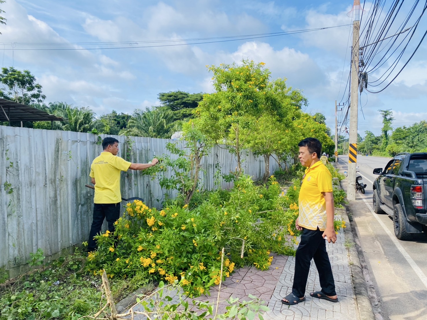 วันจันทร์ที่ 14 กรกฎาคม 2568 เวลา 09.00 น. นายสุเทพ ฮั่นสกุล รองนายกเทศมนตรีตำบลเคียนซา พร้อมด้วย คณะผู้บริหาร พนักงานจ้างและพนักงานจ้างเหมาเทศบาลตำบลเคียนซา ร่วมพัฒนาปรับปรุงภูมิทัศน์ ถนนเคียนซา-น้ำเกลี้ยง (ถนนทางเท้าจนสุดถนน)